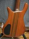 Warwick Streamer 2 3.jpg
